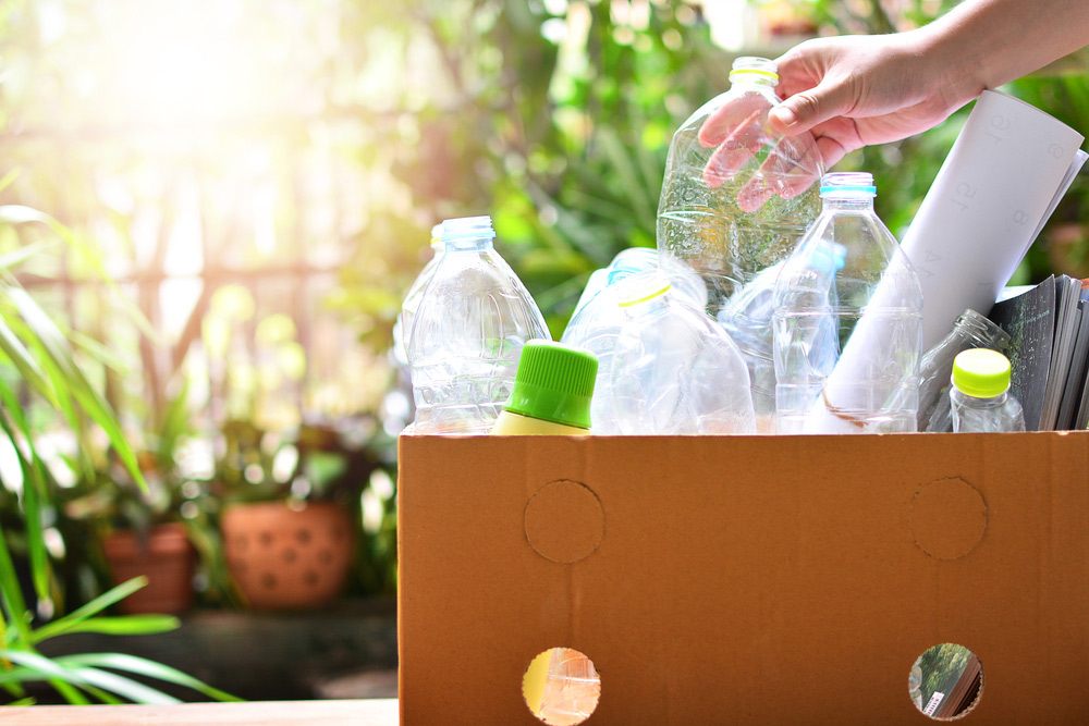 Anything Environmental | 19 Interlink Ct, Paget QLD 4870, Australia | Phone: (07) 4952 6866