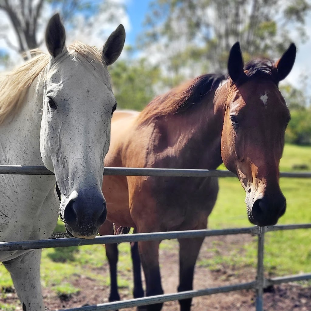 Okey Dokey Farm | Visit by appointment only. Please message to arrange, 144 Flood Reserve Rd, Ruthven NSW 2480, Australia | Phone: 0418 770 508