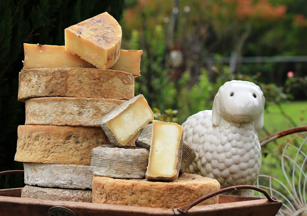 Towri Farm Cheese Workshops | 206 Saville Rd, Allenview QLD 4285, Australia | Phone: 0413 430 471