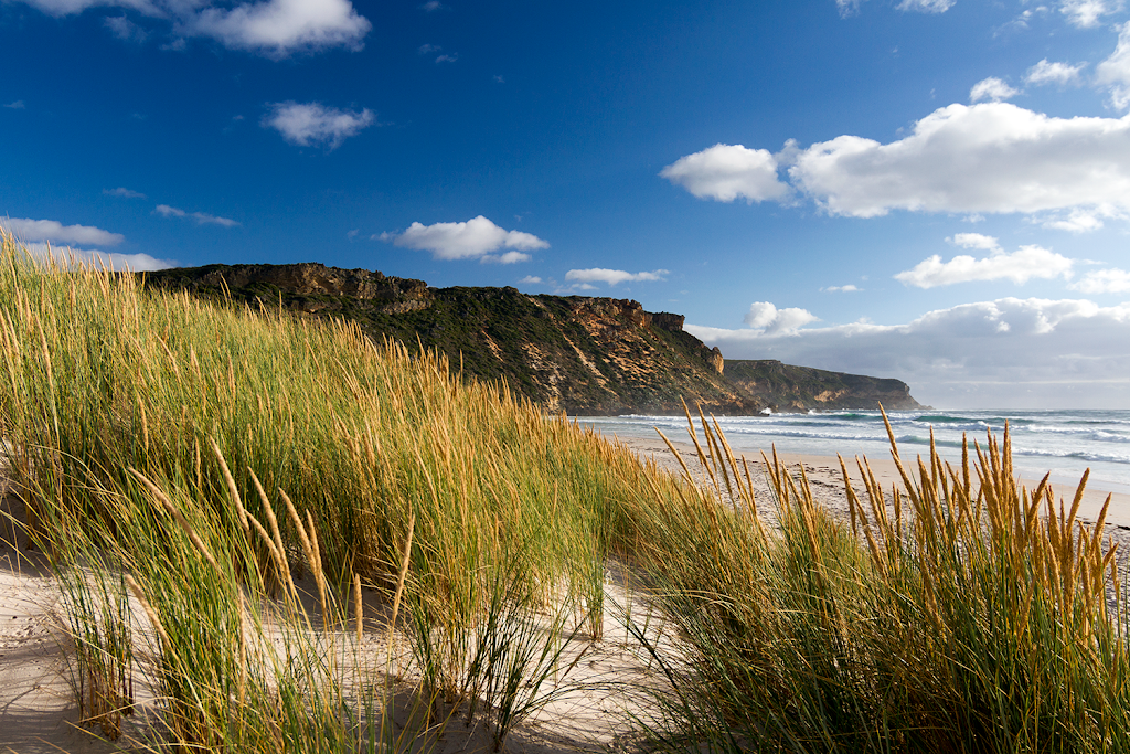 Salmon Beach, Western Australia | Windy Harbour WA 6262, Australia