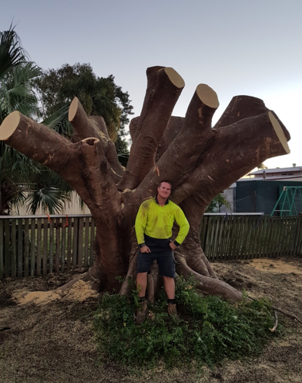 Barlows Tree Service | 1 Berserker St, Rockhampton QLD 4701, Australia | Phone: 0408 072 115