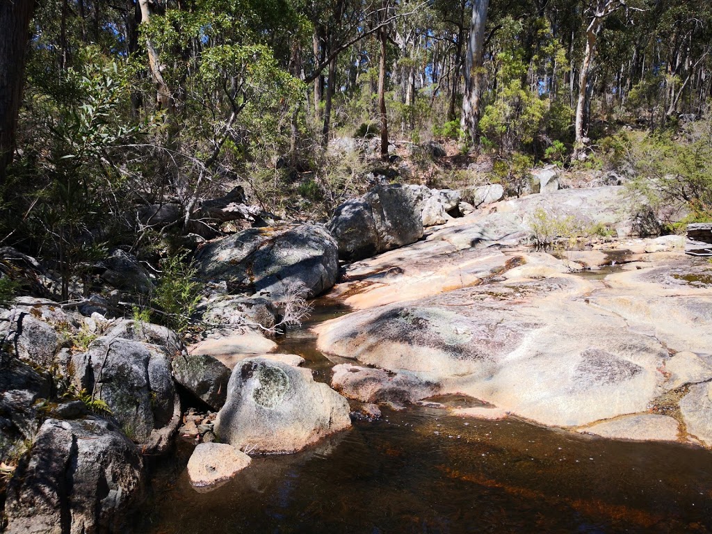 South East Forests National Park | Mount Darragh Road, Coolangubra NSW 2550, Australia | Phone: (02) 6495 5000