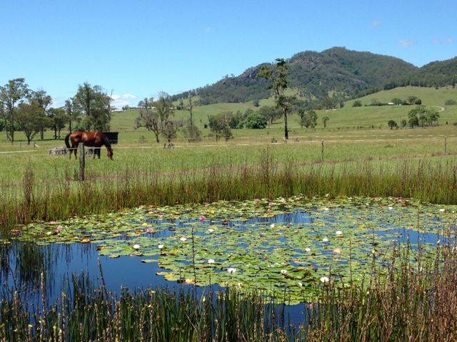 Barrington Hideaway | lodging | 312 Thunderbolts Way, Gloucester NSW 2422, Australia | 0413536141 OR +61 413 536 141