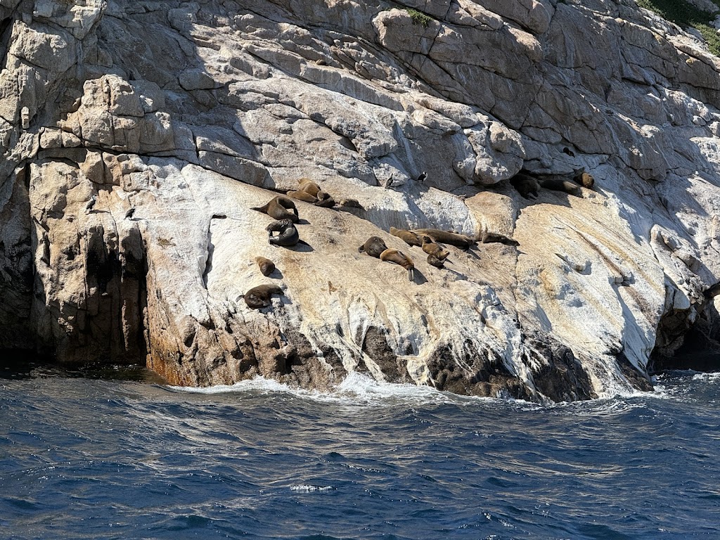 MARIA ISLAND CRUISES | 21 Vicary St, Triabunna TAS 7190, Australia | Phone: (03) 6257 1300