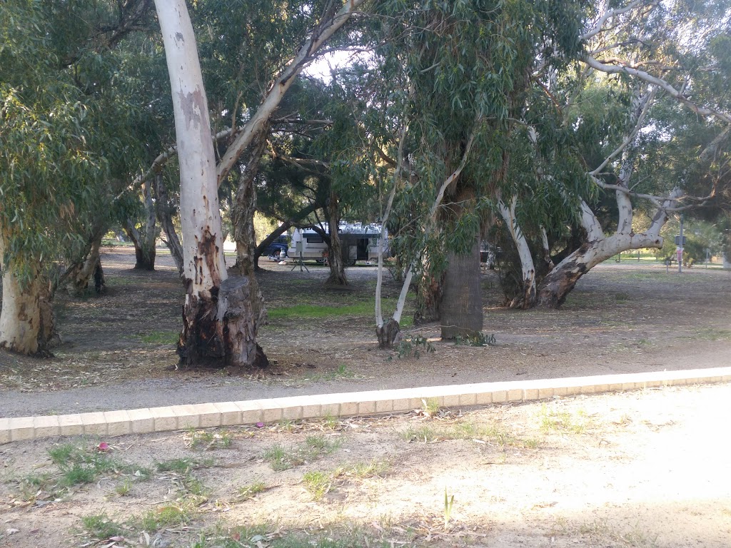 Mingenew Caravan Park | 267 Lee Steere St, Mingenew WA 6522, Australia | Phone: (08) 9928 1019