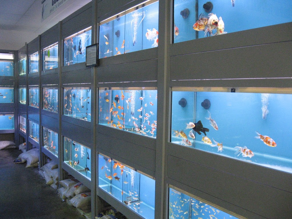 Waterlife Aquarium | pet store | 2/2 Shaft Ct, Hoppers Crossing VIC 3029, Australia | 0383608880 OR +61 3 8360 8880