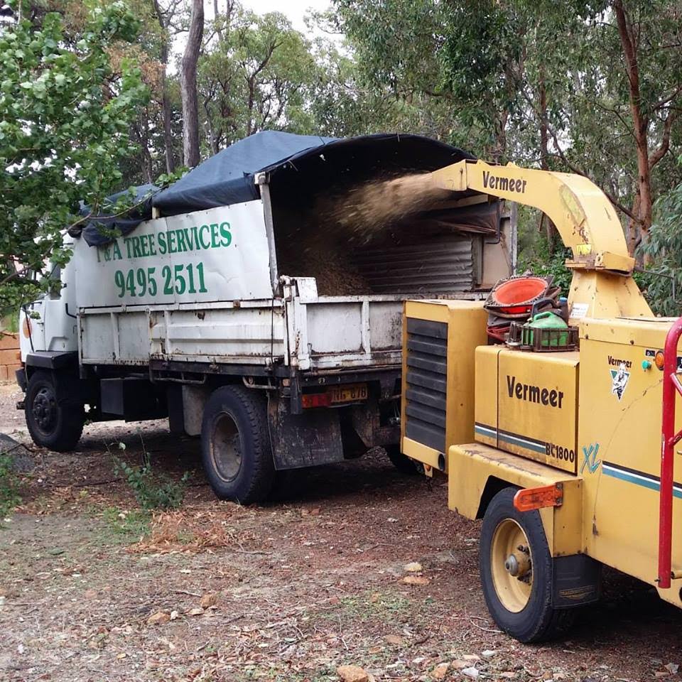 T & A Tree Services - Tree Lopping, Stump Grinding |  | 74 Brookton Hwy, Kelmscott WA 6111, Australia | 0419495231 OR +61 419 495 231