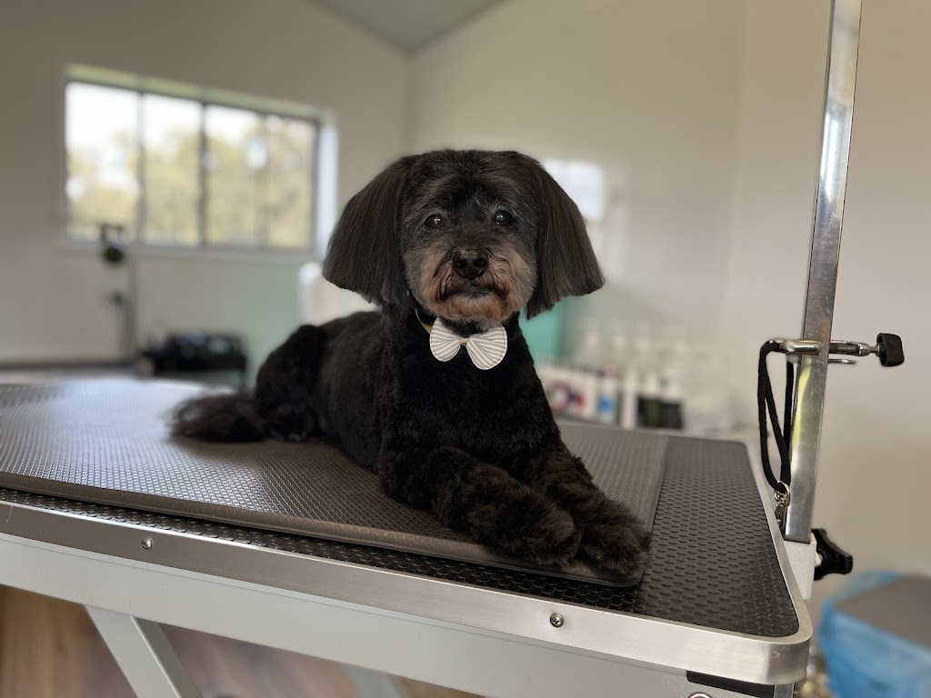 Pamper Paws by Krystal | 467 Mount View Rd, Mount View NSW 2325, Australia | Phone: 0431 227 078