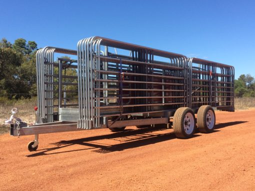 Rangeland Goat Mustering | Barongarook, Luna Rd, Terrica QLD 4387, Australia | Phone: 0429 955 264