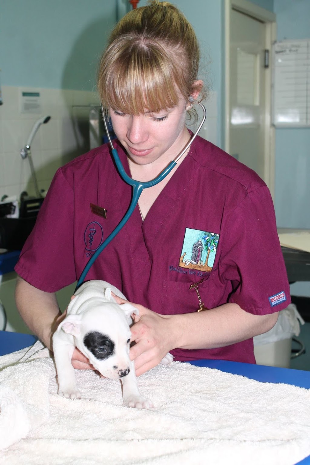 Malibu Veterinary Hospital | 120 Malibu Rd, Safety Bay WA 6169, Australia | Phone: (08) 9528 3333