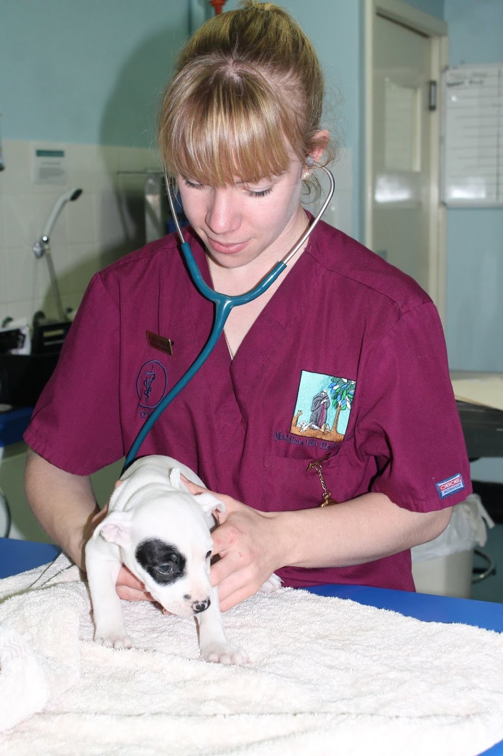 Malibu Veterinary Hospital | veterinary care | 120 Malibu Rd, Safety Bay WA 6169, Australia | 0895283333 OR +61 8 9528 3333