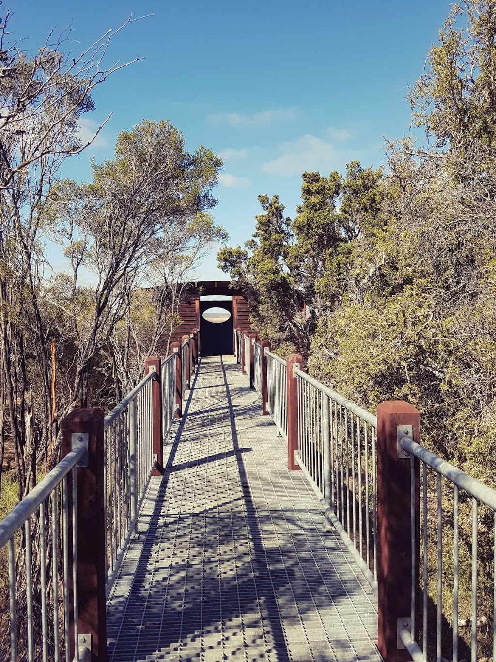 Lake Muir Observatory | park | Muir Hwy, Mordalup WA 6258, Australia