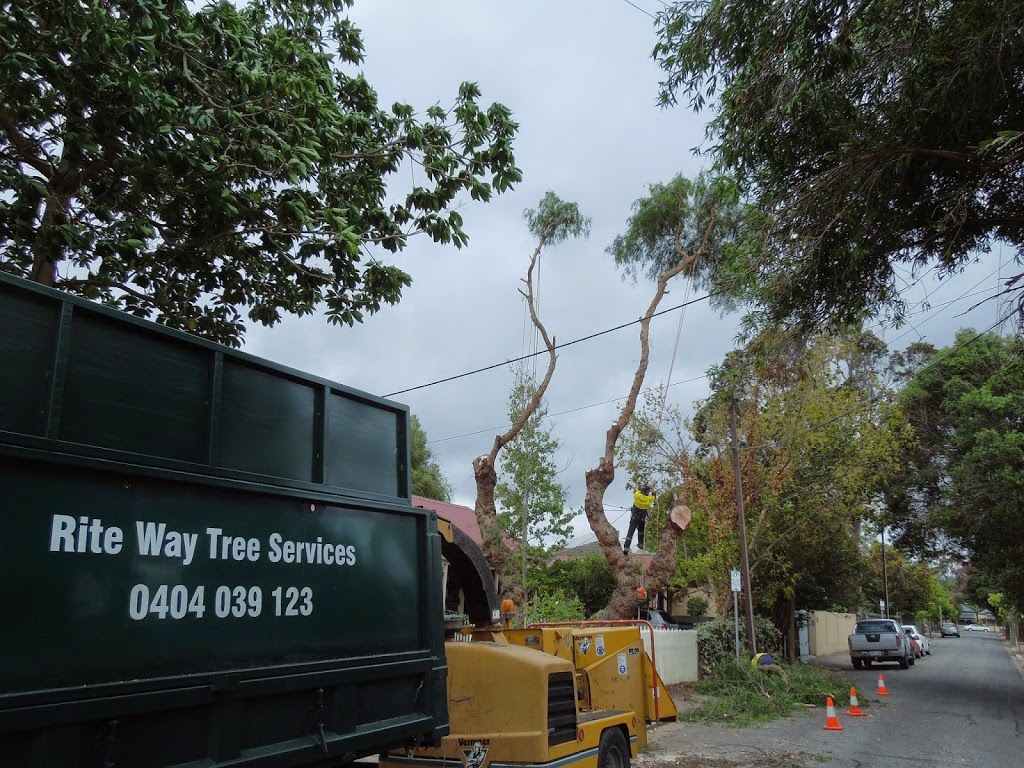 Rite Way Tree Services | general contractor | 8 Bond St, Happy Valley SA 5159, Australia | 0404039123 OR +61 404 039 123
