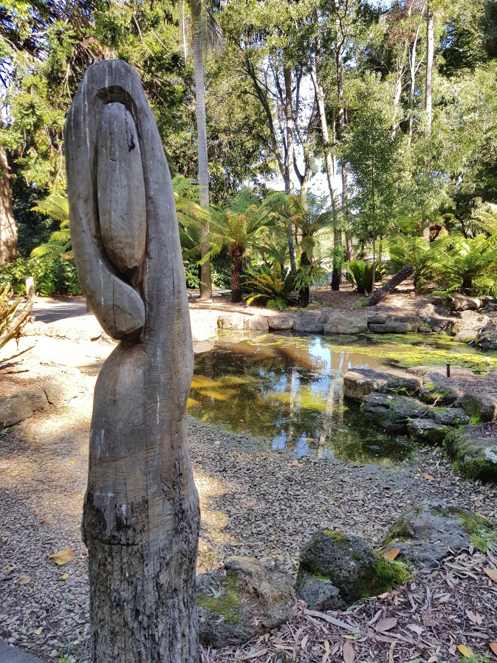 Geelong Botanic Gardens (GBG) | park | Corner of Eastern Park Circuit &, Podbury Dr, East Geelong VIC 3219, Australia | 0352724379 OR +61 3 5272 4379