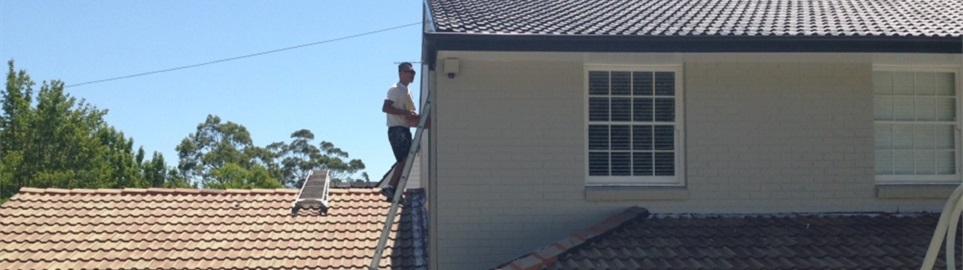 AA Active Master Painters - Sydney | 1 Peppercorn Dr, Frenchs Forest NSW 2086, Australia | Phone: (02) 9417 2233