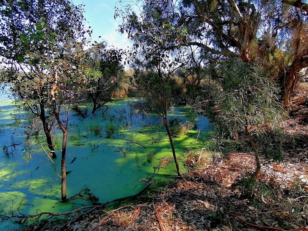 Booragoon Lake Reserve | park | 500 Leach Hwy, Booragoon WA 6154, Australia | 0893640666 OR +61 8 9364 0666