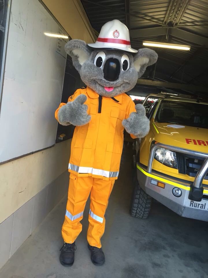 Mount Maurice Rural Fire Brigade | 1 McGrath Rd, Burua QLD 4680, Australia | Phone: 0437 384 728