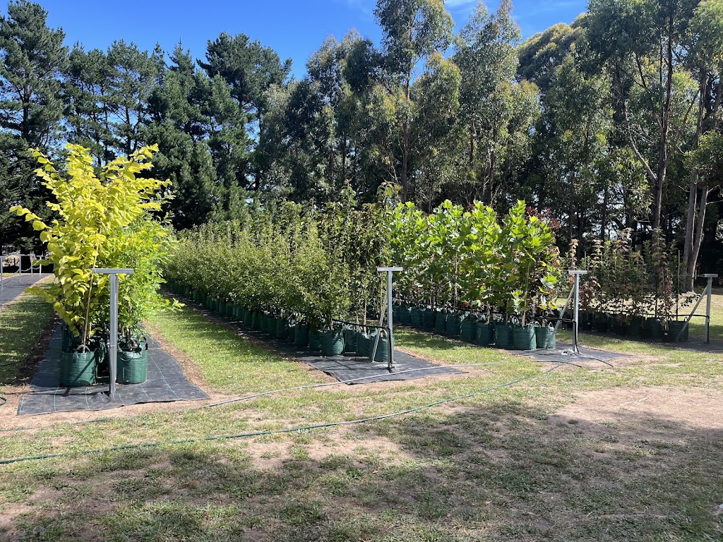 Winwood Advanced Trees | Winwood Advanced Trees, Gordon VIC 3345, Australia | Phone: 0423 336 379