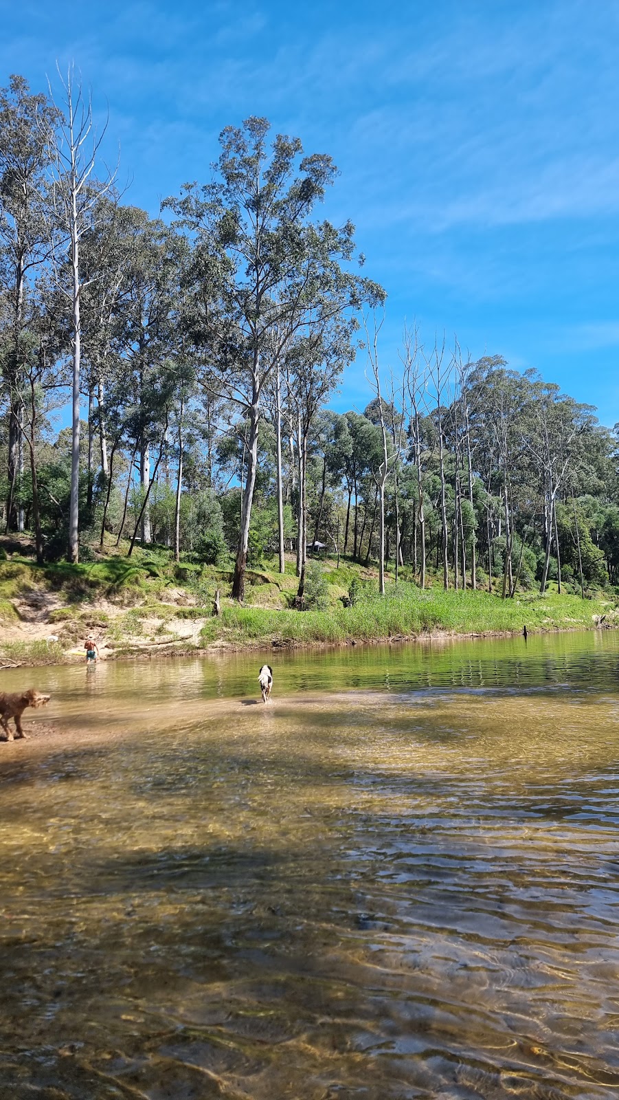 Deeimba Camp Grounds | 183 Mountain Ave, Yarramundi NSW 2753, Australia | Phone: 0418 738 784
