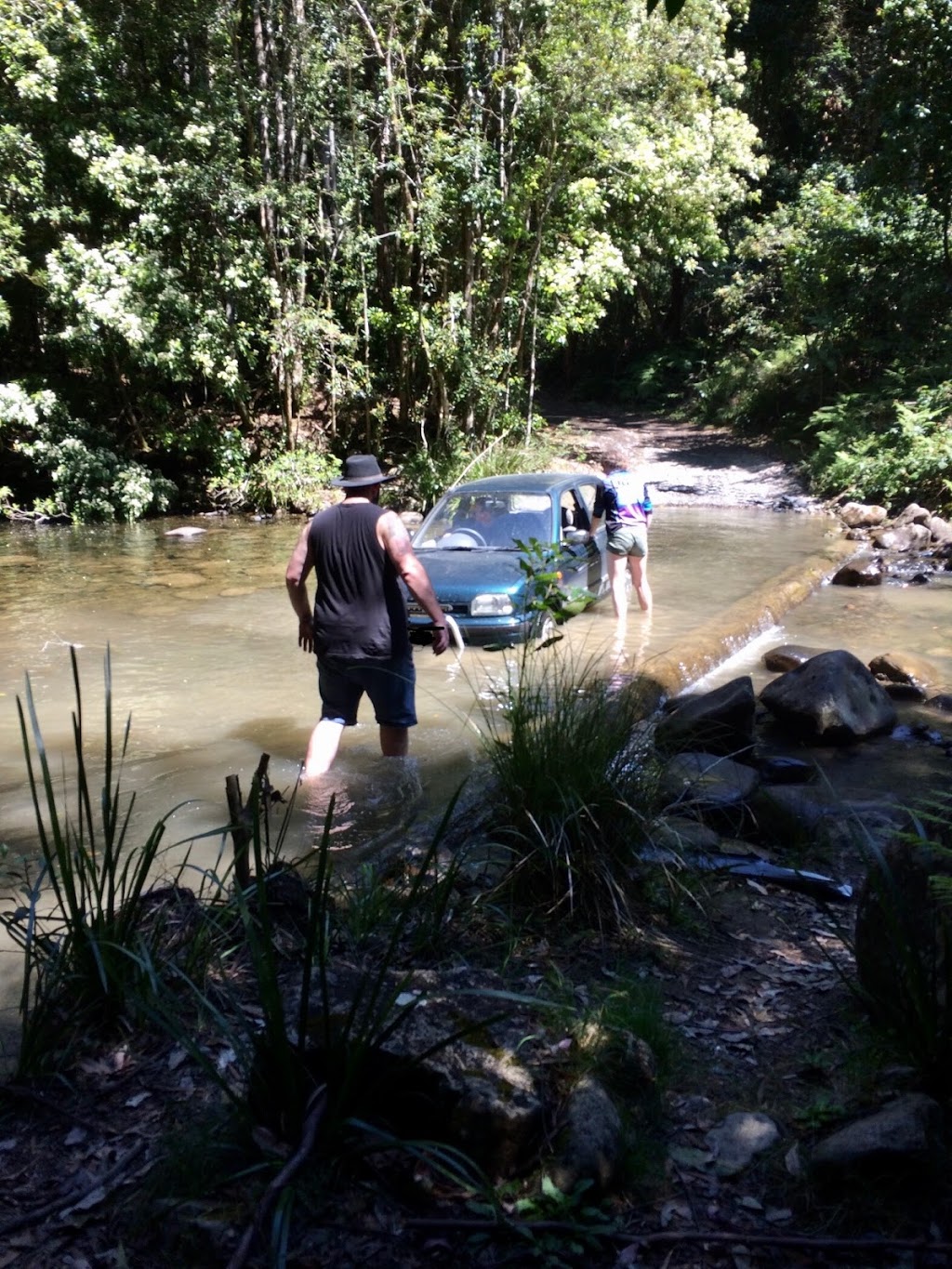 Currawong Campground | Middle Ridge Rd, Upper Karuah River NSW 2415, Australia