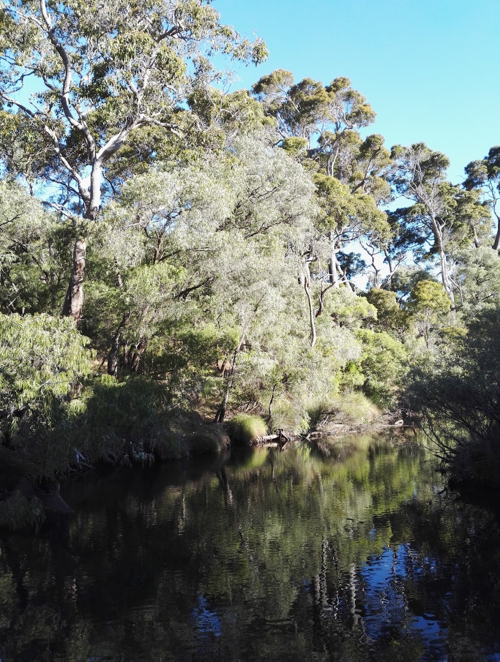 Margaret River Scaffold | 25 Friesian St, Cowaramup WA 6284, Australia | Phone: 0416 312 354