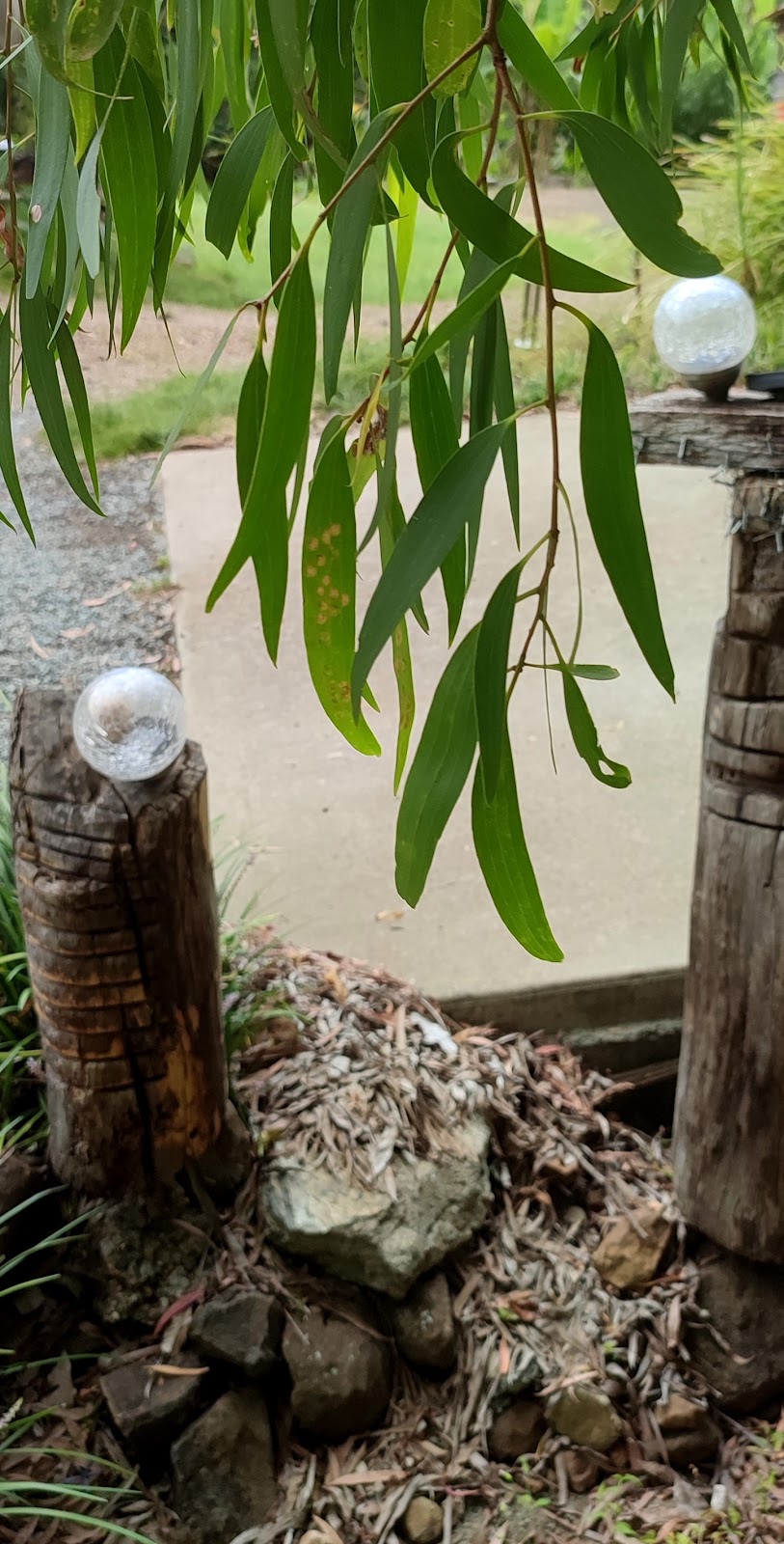 Hand Bent Banana Art Nature & Health Centre Pty Ltd | 335 Petsch Creek Rd, Tallebudgera Valley QLD 4228, Australia | Phone: 0430 353 347
