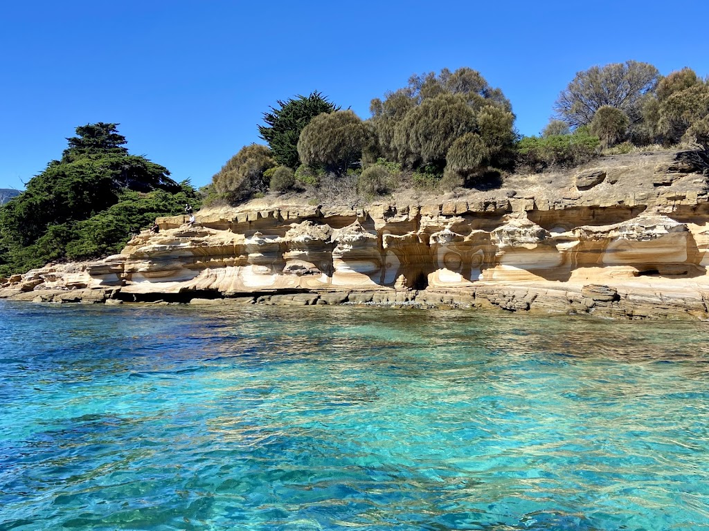 MARIA ISLAND CRUISES | 21 Vicary St, Triabunna TAS 7190, Australia | Phone: (03) 6257 1300