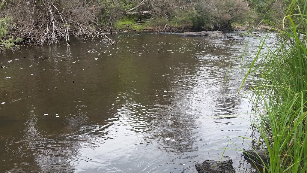 Buxton MTB park | park | Mill Creek Rd, Buxton VIC 3711, Australia