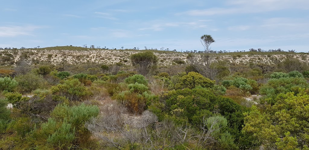 Leven Beach Conservation Park | park | Point Souttar SA 5575, Australia