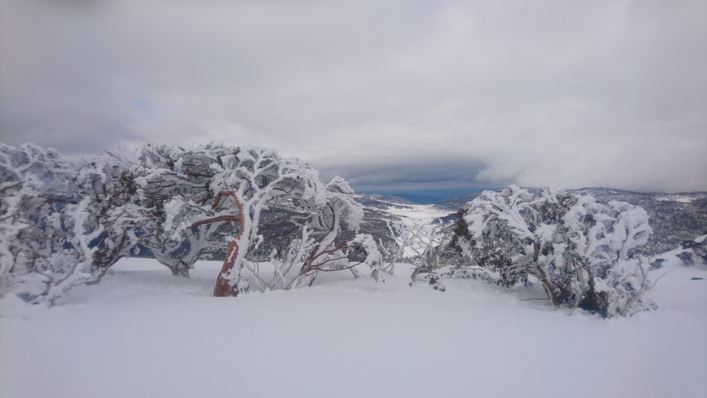 South Rams Head | Kosciuszko National Park, Thredbo NSW 2625, Australia | Phone: (02) 6450 5600