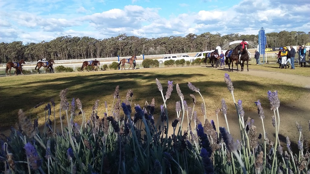 Moruya Racecourse | Moruya NSW 2537, Australia | Phone: (02) 4474 4409