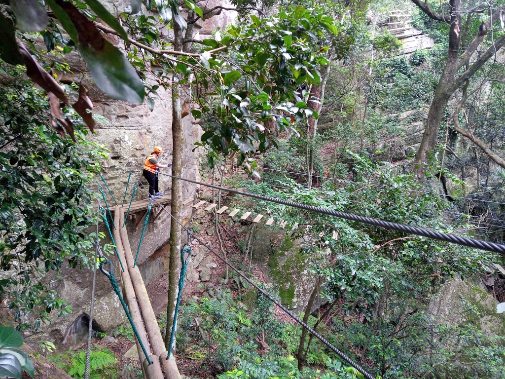 Trees Adventure - Nowra Park | tourist attraction | 23 Rock Hill Rd, North Nowra NSW 2541, Australia | 0244214830 OR +61 2 4421 4830