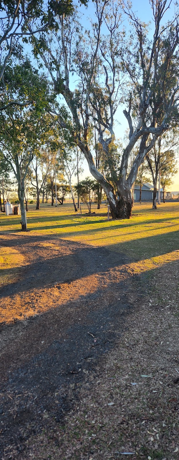 The Bun Tourist Park | 84 Moffatt St, Kaimkillenbun QLD 4406, Australia | Phone: (07) 4663 4108
