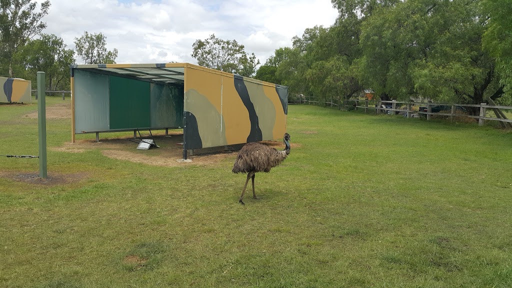 Emu Gully Adventure Education Group | campground | 142 Twidales Rd, Helidon Spa QLD 4344, Australia | 0746976631 OR +61 7 4697 6631