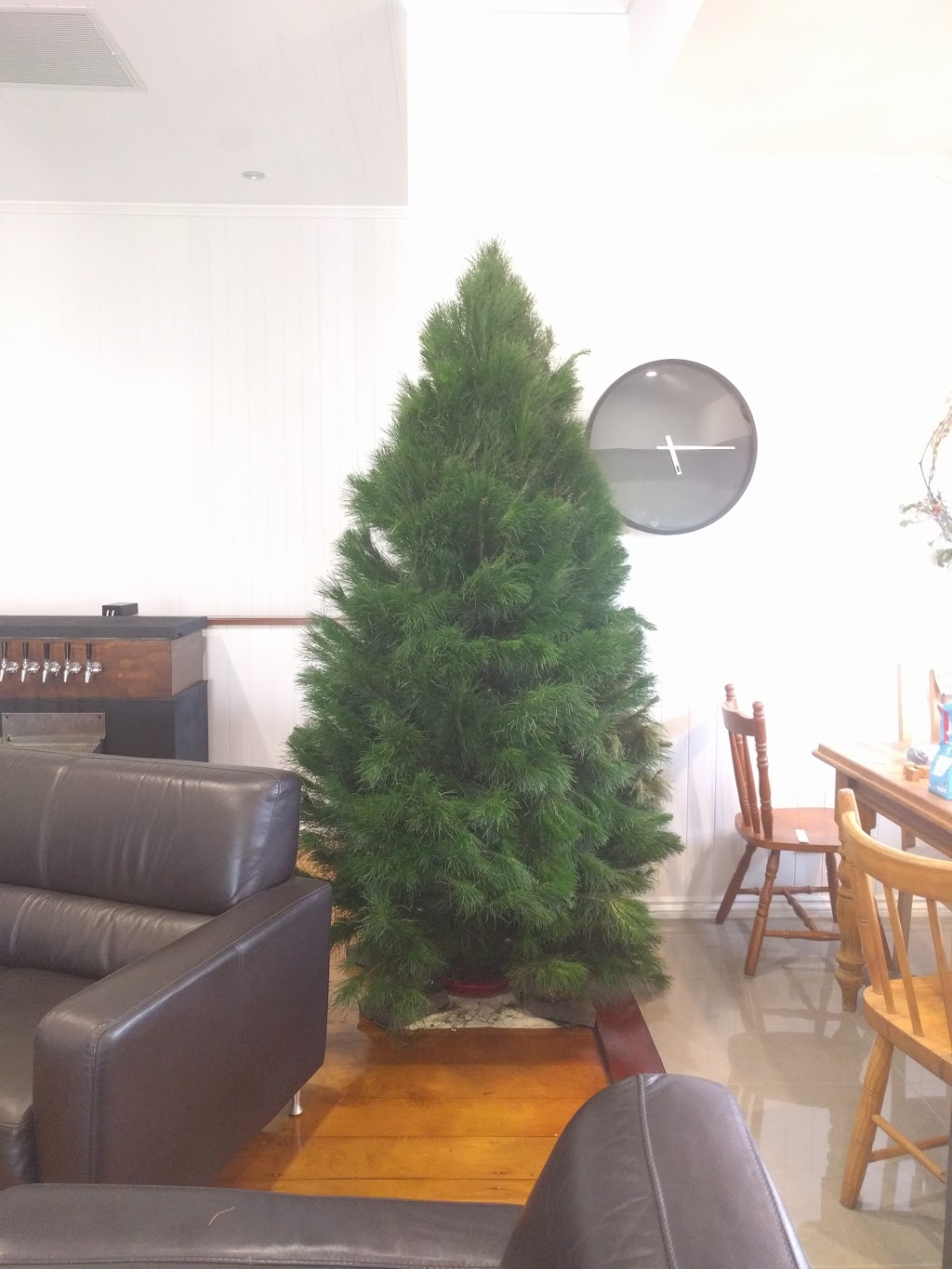 Real Christmas Trees | store | 109 Ashgrove Ave, Ashgrove QLD 4060, Australia | 0733668461 OR +61 7 3366 8461