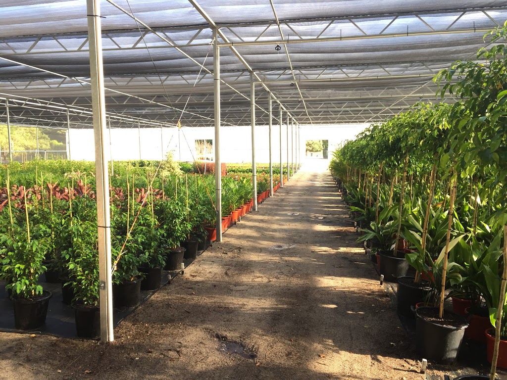 Pine Lake Nursery | 82 Coogee Rd, Mariginiup WA 6078, Australia | Phone: (08) 9405 2295