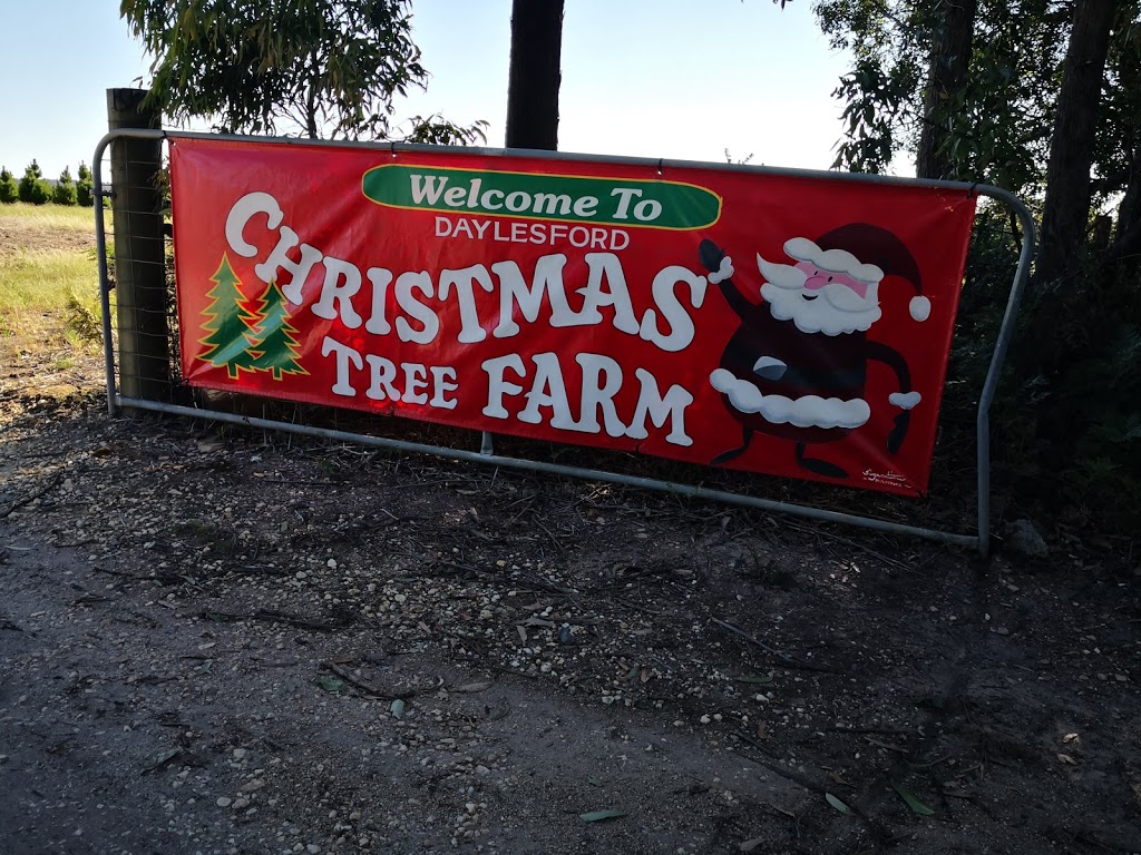 Daylesford Christmas Tree Farm | 197 Coopers Ln, Daylesford VIC 3461, Australia | Phone: 0418 509 776