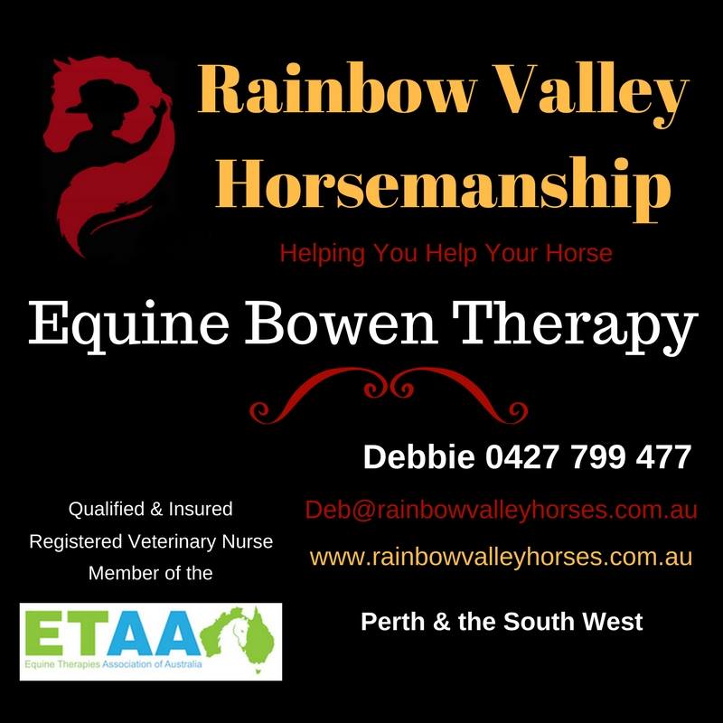 Rainbow Valley Horsemanship | 419 Sandalwood Rd, Brunswick WA 6224, Australia | Phone: 0427 799 477