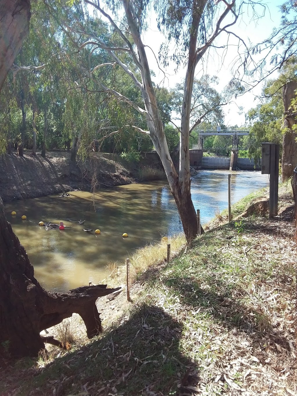 Jemalong Irrigation Limited | South Condobolin Rd, Jemalong NSW 2871, Australia | Phone: (02) 6857 4201