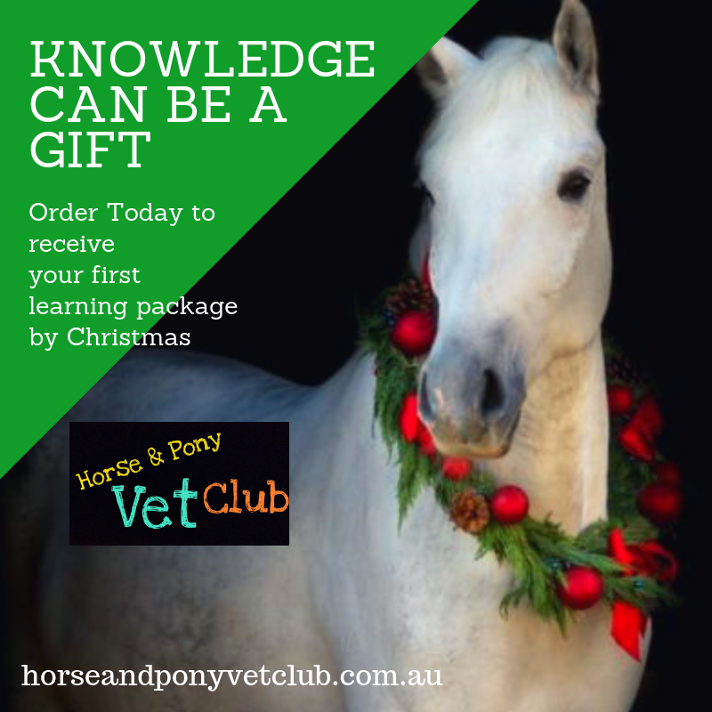 Horse & Pony Vet Club | veterinary care | 2715 S Western Hwy, Serpentine WA 6125, Australia