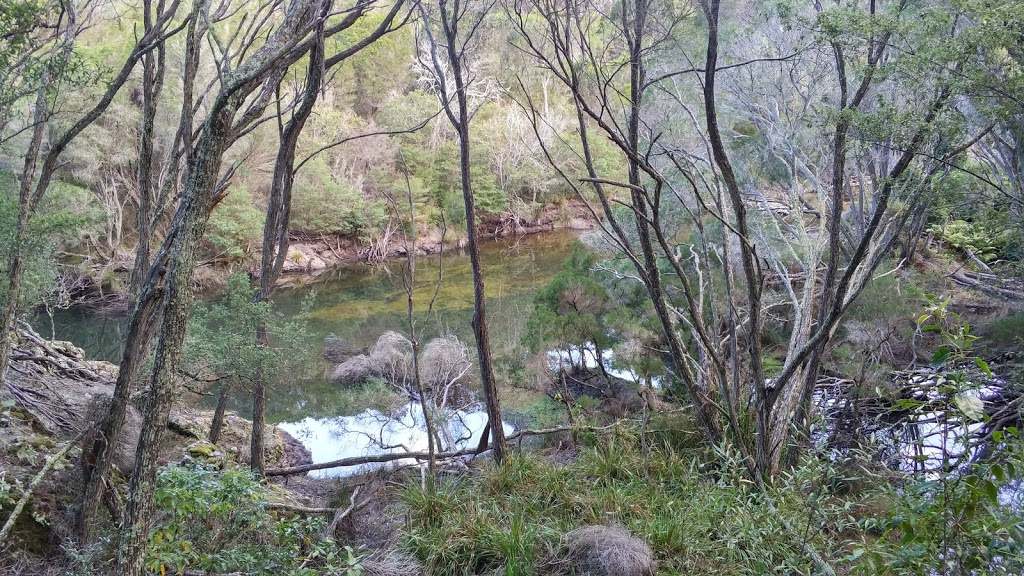 Bournda National Park | park | New South Wales, Australia | 0264955000 OR +61 2 6495 5000