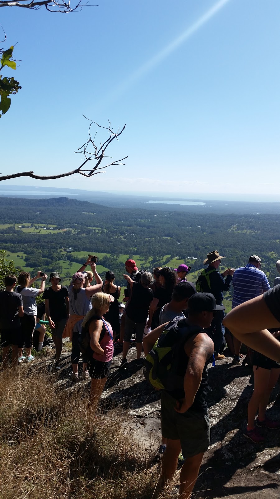 Mount Cooroy Conservation Park | park | Cooroy Mountain QLD 4563, Australia