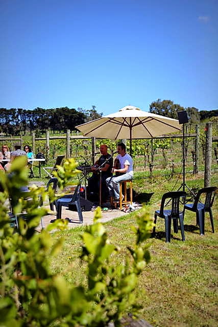 For the Love of Grape - Yarra Valley Wine Tours | travel agency | 10 Ronald Grove, Millgrove VIC 3799, Australia | 0407934422 OR +61 407 934 422