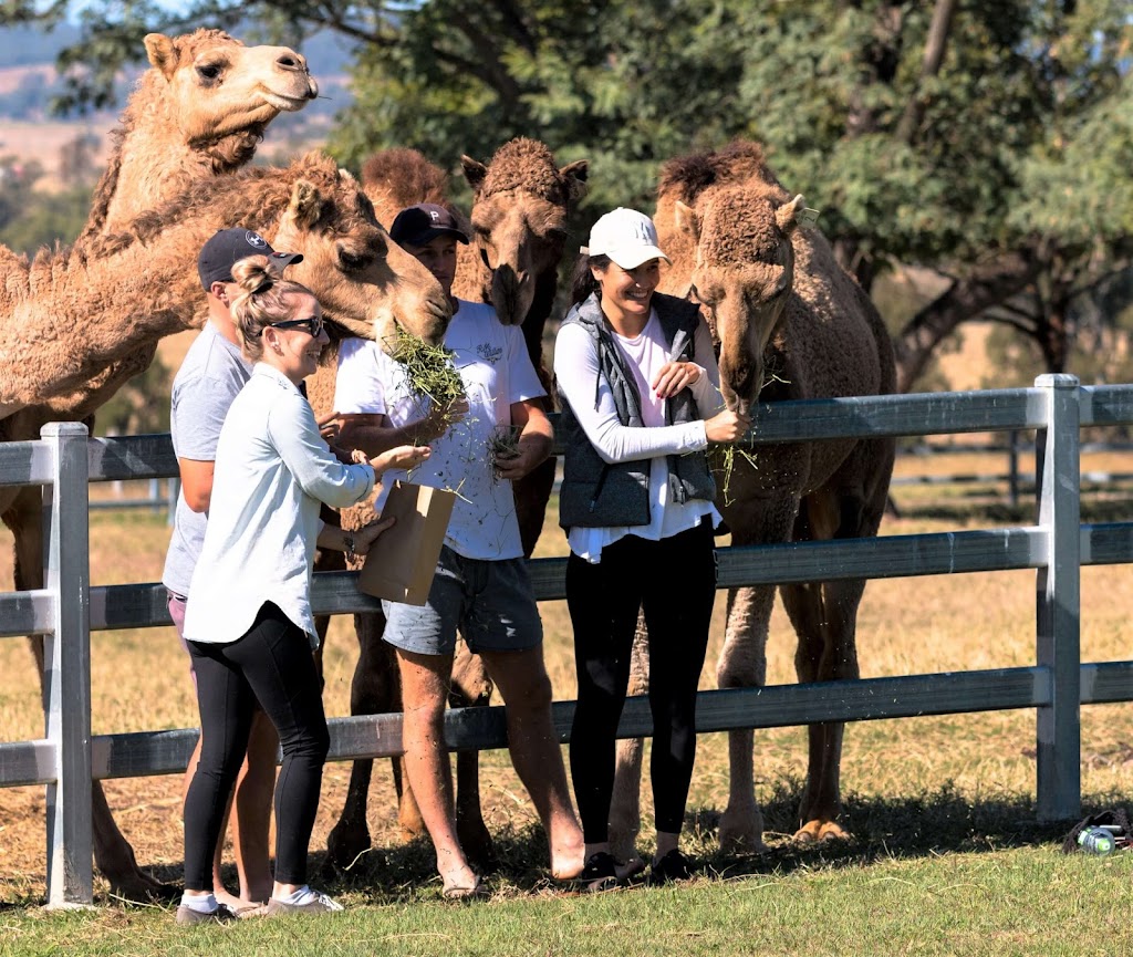 Local Taste Discoveries | Milford Rd, Boonah QLD 4310, Australia | Phone: 0409 857 639