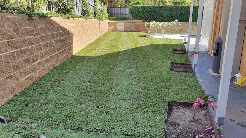 feature trees & perfection hedging | general contractor | 3, Winston Hills NSW 2153, Australia | 0430529619 OR +61 430 529 619