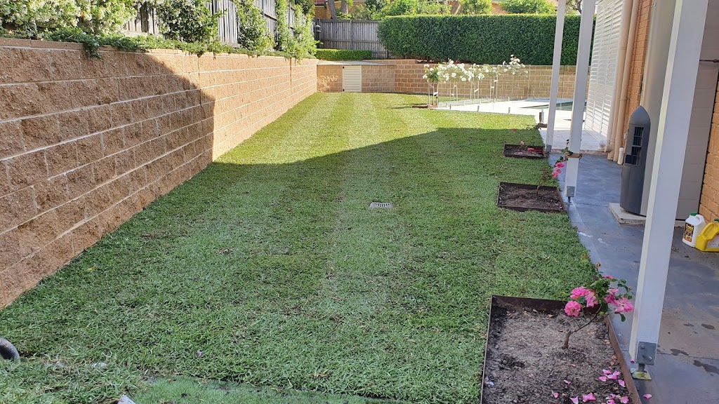 feature trees & perfection hedging | 3, Winston Hills NSW 2153, Australia | Phone: 0430 529 619