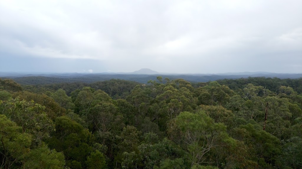 Finchley Campground | campground | Yango Track, Big Yengo NSW 2330, Australia | 0421160415 OR +61 421 160 415