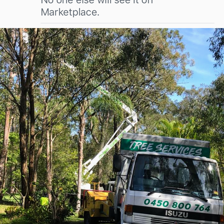 Gold Coast Tree Services | 5 Fenton Dr, Tallebudgera QLD 4228, Australia | Phone: 0450 800 764