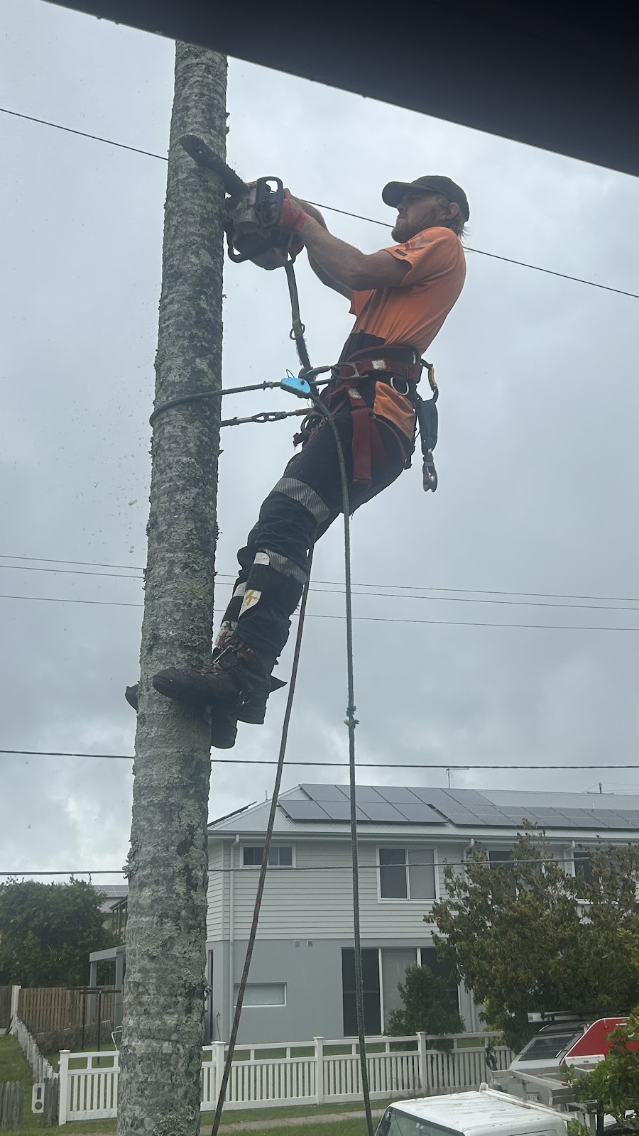 COLOURFUL TREE LOPPING STUMP GRINDING | 44A Oyster Point Esplanade, Scarborough QLD 4020, Australia | Phone: 0438 988 985