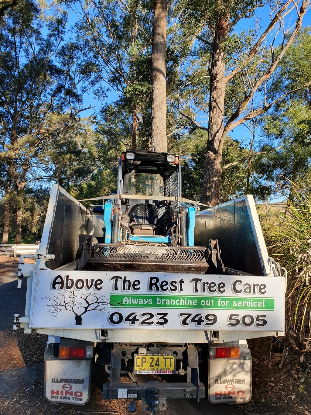 Above The Rest Tree Care | 12 Martins Ridge Rd, Conjola NSW 2539, Australia | Phone: 0423 749 505